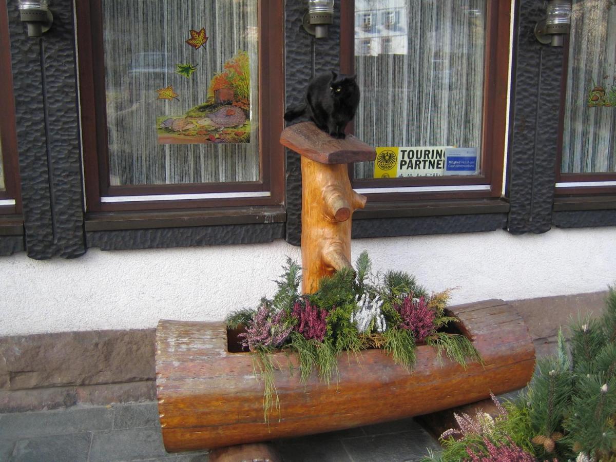 Rappen Baiersbronn